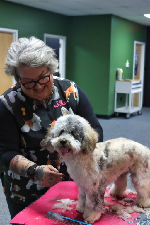 Milltown-Pet-gallery-12