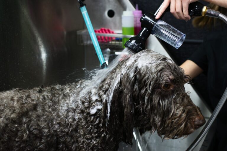 Milltown-Pet-gallery-4